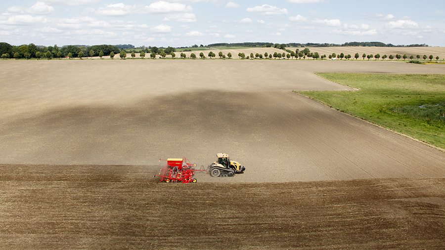 Rapeseed drilling