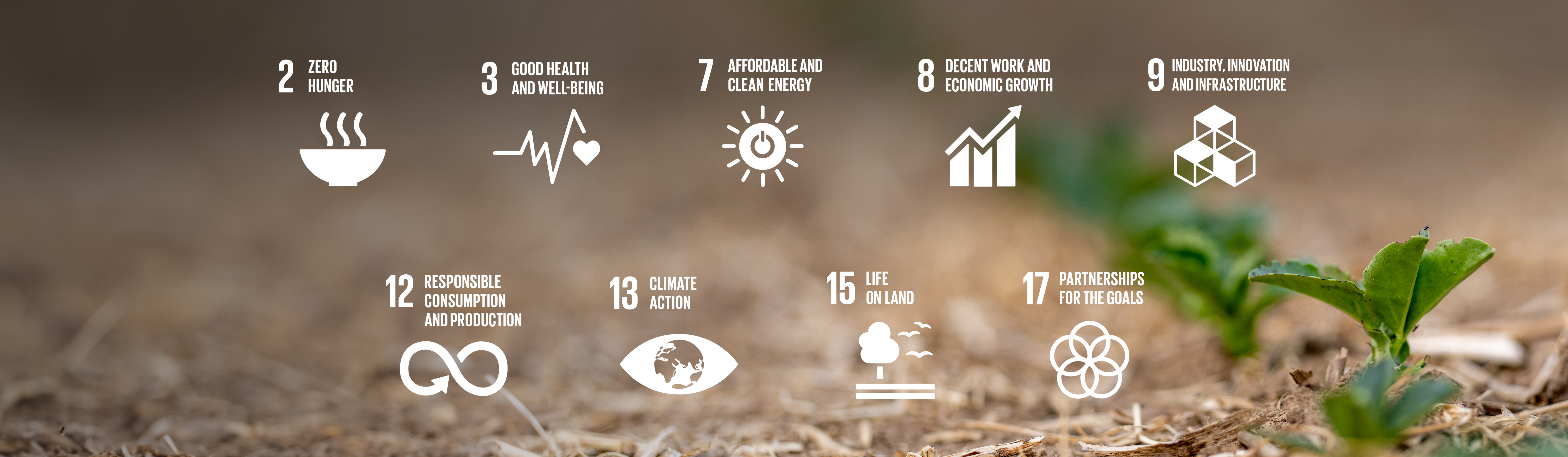 9 UN goals for our sustainability. 