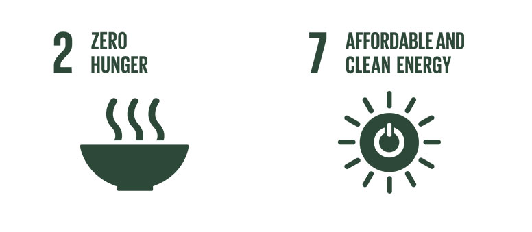 UN Goals in green symbols.