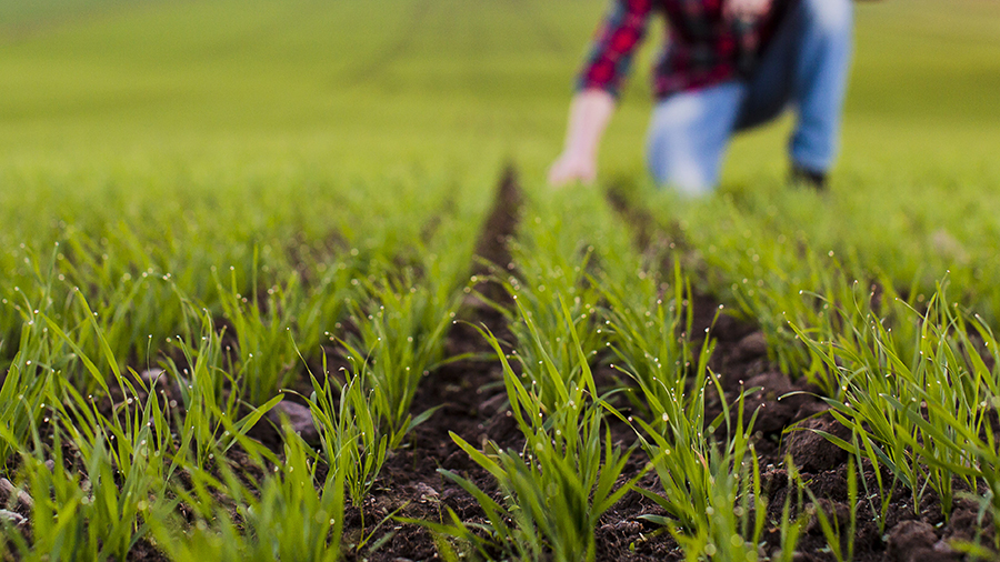 Basic agronomy knowledge 