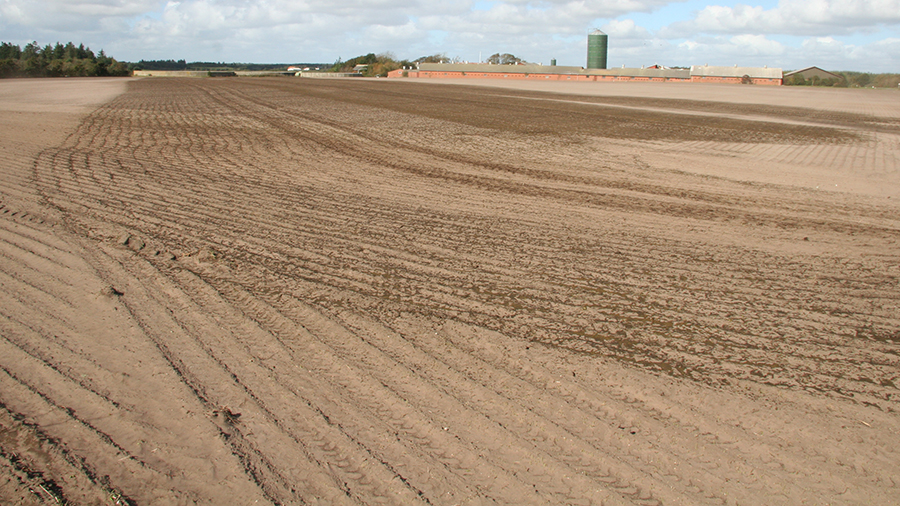 Soil affected by wind erosion