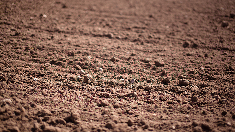 Understand your soil