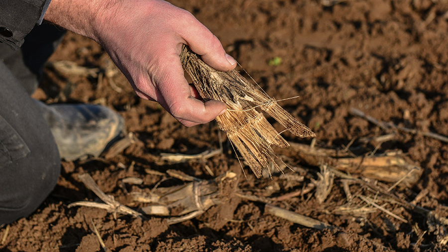 Identify matters that impacts the performance of your soil
