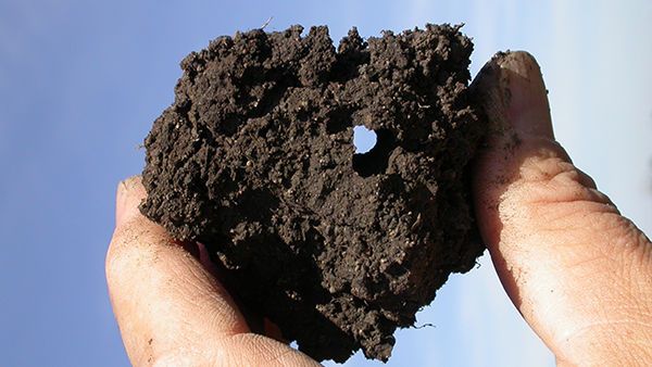 When clay particles are bound together in aggregates, the properties of the soil are almost always improved.