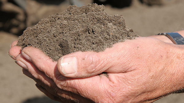 A sand soil is an example of a single-grained structure