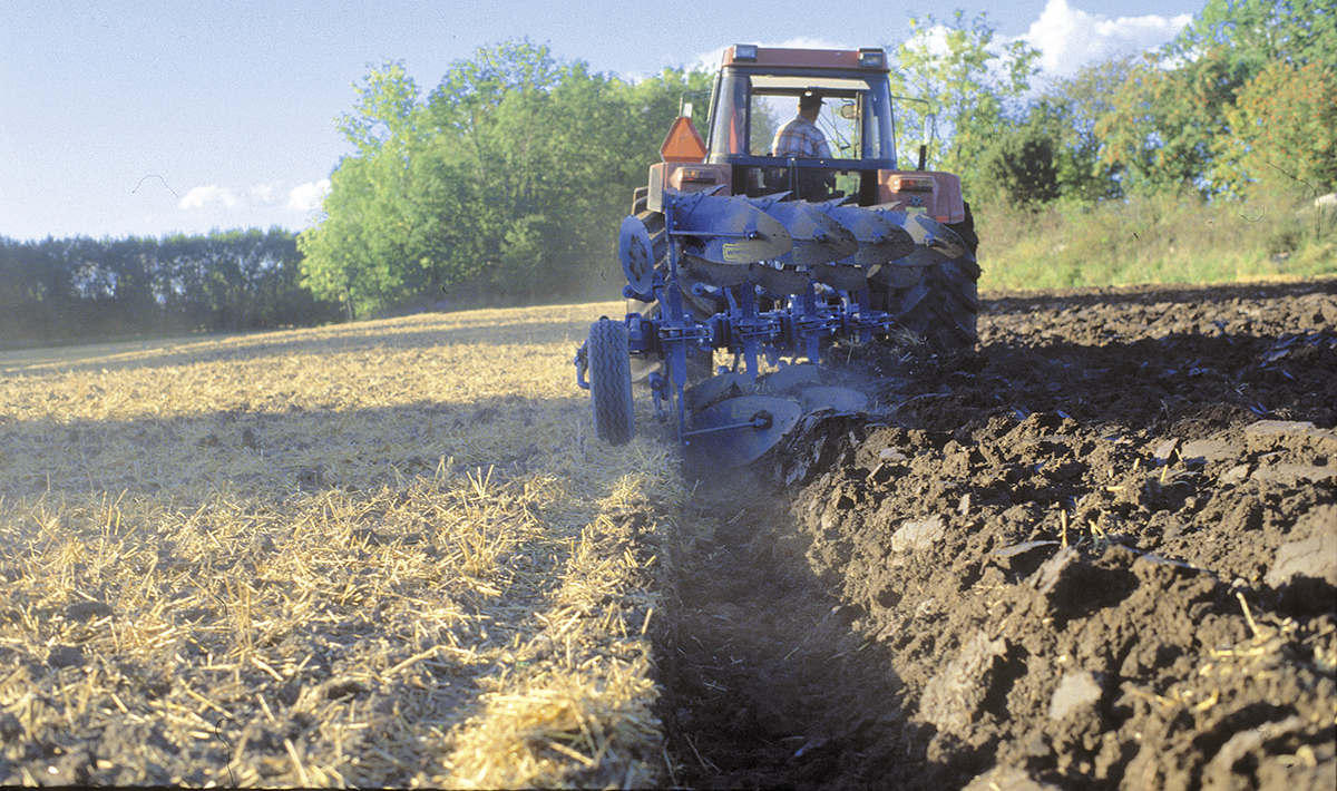 Ploughing on field