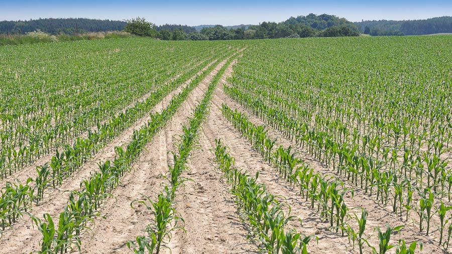 Väderstad Tempo row shut-off saves fertilizer