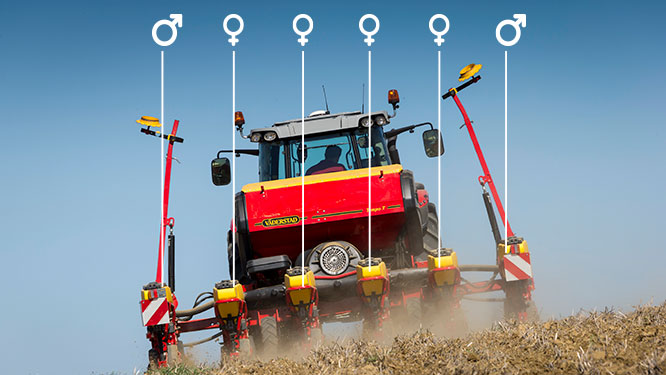 Individual calibration