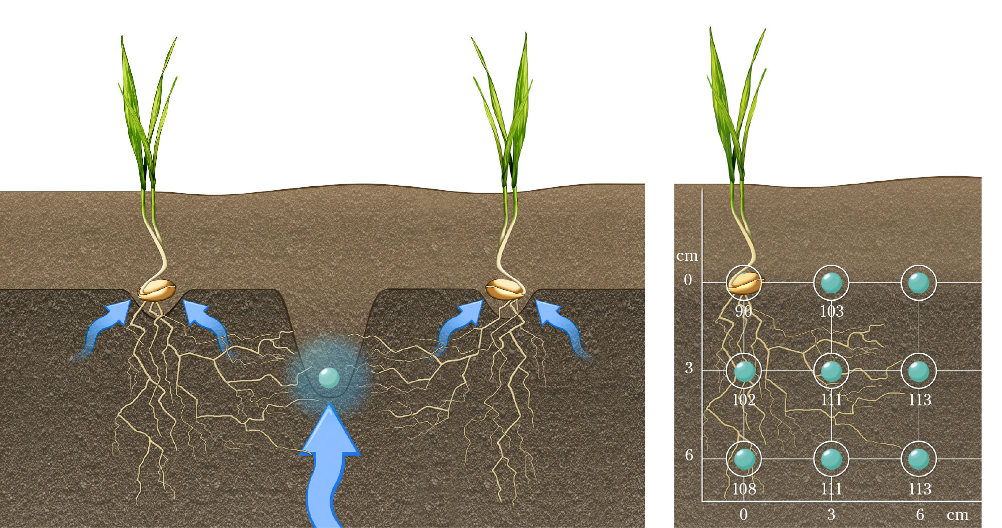 Fertiliser at the right spot