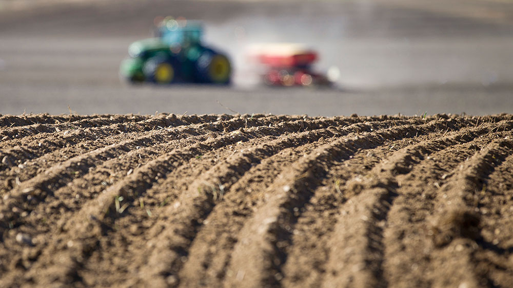The expert of soil types