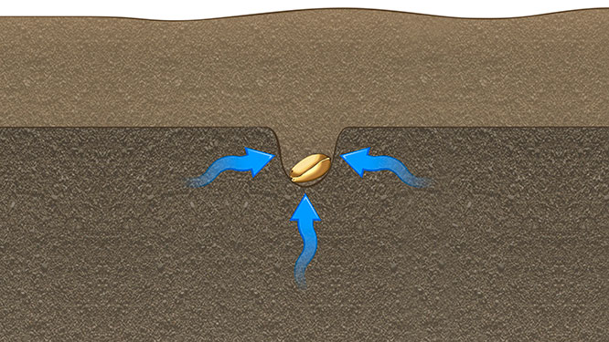 Moisture access for even germination