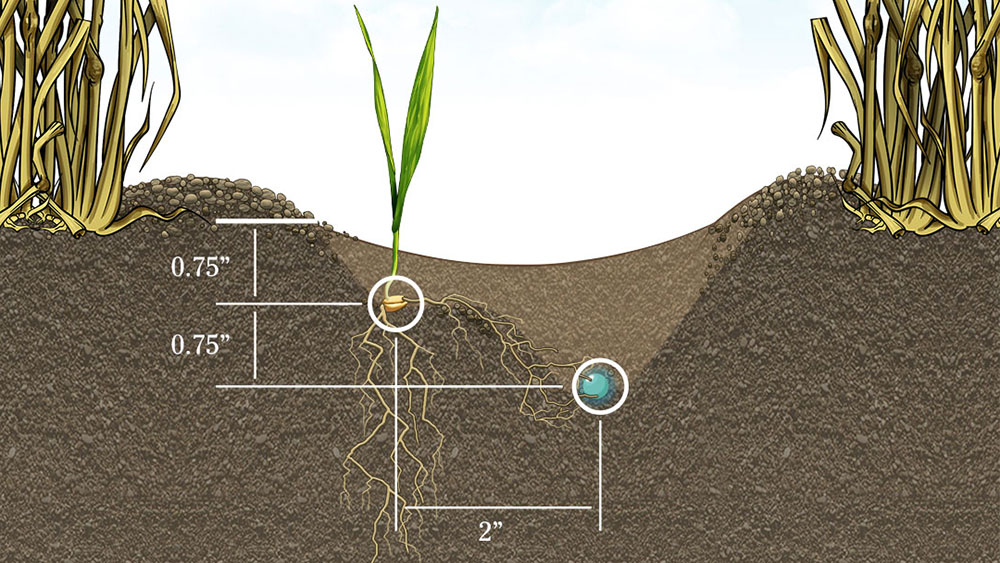 Rendering showcasing placement of seed and fertiliser using the Seed Hawk  Inline Side Band knife