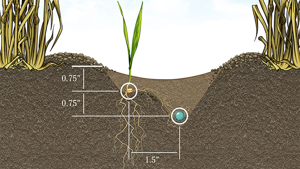 Rendering showcasing placement of seed and fertiliser using the Seed Hawk  Single Side Band knife