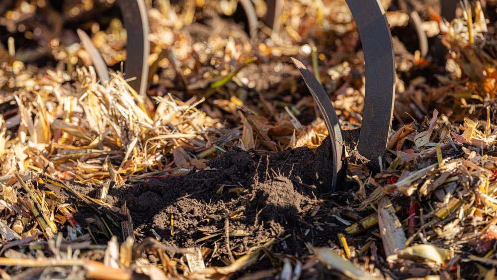 Close-up of chisel tines working the soil